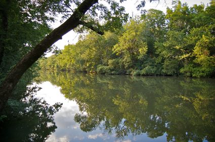 Rutherford County, TN