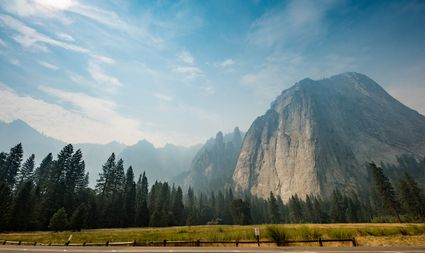 Home entertainment, recreation and culture products, including household pets and related products