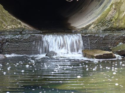 Water, sewer, and environmental services