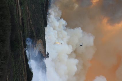 Environmental remediation and site management services