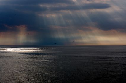 Environmental consulting services