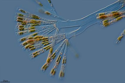 Scientific and technical services